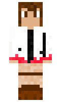 pixjta minecraft skin