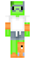 MineTurtleet minecraft skin