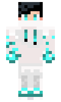 LordPichu minecraft skin