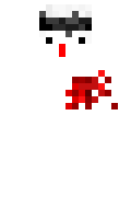 shekel2010 minecraft skin
