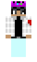 devcookie123 minecraft skin