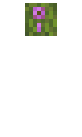 71e8944f64557f minecraft skin