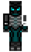socool minecraft skin