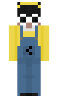 720a916913f5fa minecraft skin