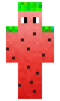 radwl minecraft skin