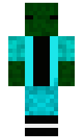 Hute minecraft skin