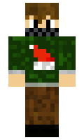 7283e83b94476e minecraft skin