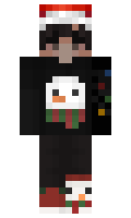 baran minecraft skin