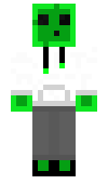 Produktecheck minecraft skin