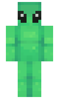 Ninjatotto11 minecraft skin