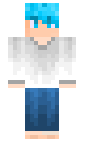 lokki minecraft skin