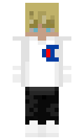 xyzx minecraft skin