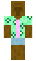 krist1s minecraft skin