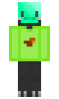 732b2b4989501d minecraft skin