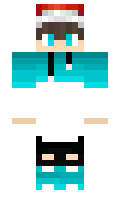 732e96b6cc9fa2 minecraft skin