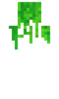 7339144feefaf6 minecraft skin