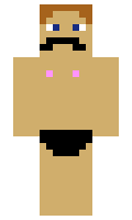 shemon69 minecraft skin