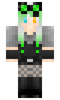 fasalina minecraft skin