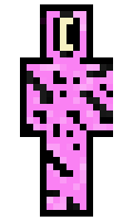 poddj minecraft skin