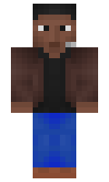 Nervin minecraft skin