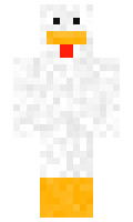 lintypokets minecraft skin