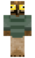 dmr002 minecraft skin