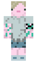 EndVada minecraft skin