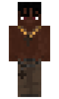 wladiXD minecraft skin