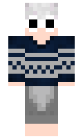 Jini minecraft skin