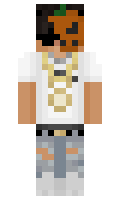 brofessional1 minecraft skin