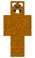 73f78919d2fe8f minecraft skin