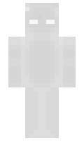 BartioliPL minecraft skin
