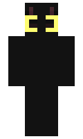 NoStatus minecraft skin
