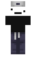 11co minecraft skin