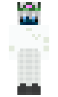 7419fec6d4df27 minecraft skin