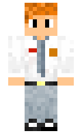 sidann minecraft skin