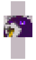 ignAndy minecraft skin