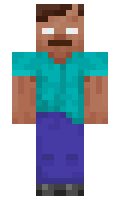 Geysermc minecraft skin