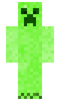 74488b0407d42e minecraft skin