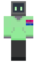 1294 minecraft skin