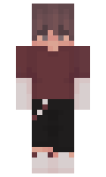 lpi minecraft skin