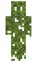 7492ff089d396e minecraft skin