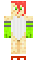 shay212 minecraft skin