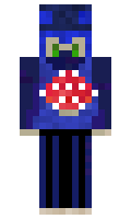 7497a33dbecf22 minecraft skin