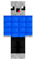 NotGreczel minecraft skin