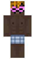 74a7901cd6d502 minecraft skin