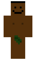 74d5740096e77b minecraft skin