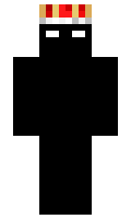 Pingvin123 minecraft skin