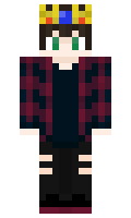 minercraft17 minecraft skin