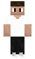8999389676 minecraft skin